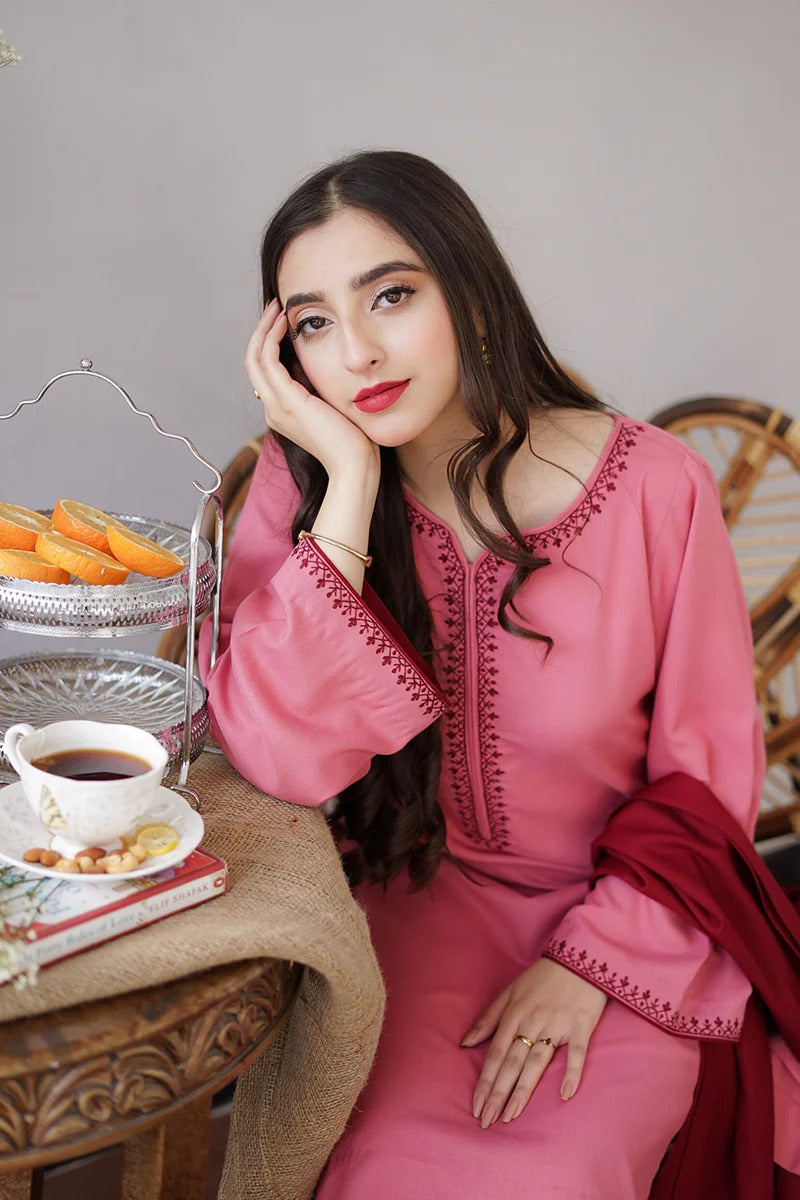 AISLING - 3PC DHANAK EMBROIDERED BA-W161